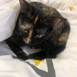 Meet your Posher, Amber